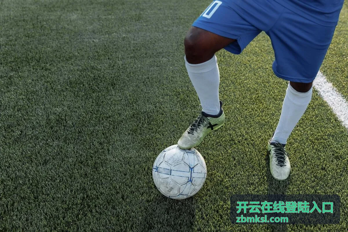 开云在线登陆入口企业接入流程示意